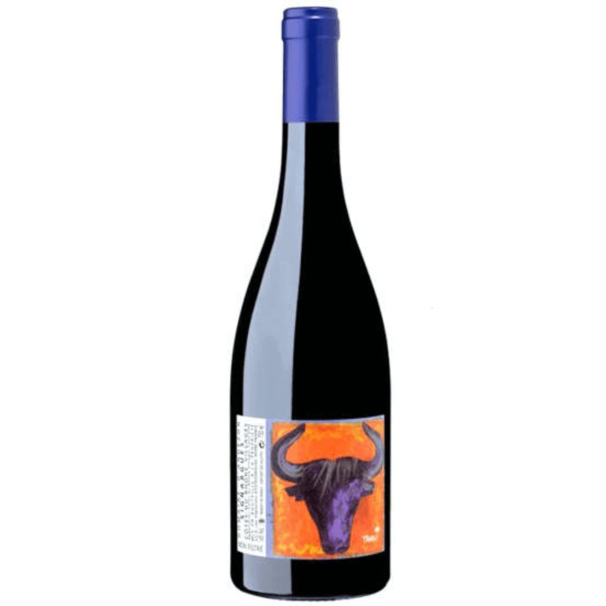 Domaine Andezon Côtes du Rhône Villages Syrah 2023 (6 Bottles) Rhône, France — wine from Australia
