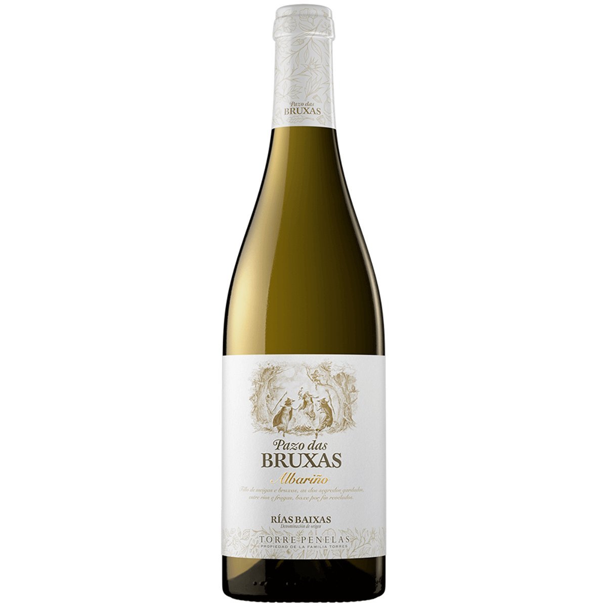 Torres Pazo das Bruxas Albariño 2023/24 (6 Bottles) Penedès, Spain — Albariño from /24 (6 Bottles) Penedès, Spain