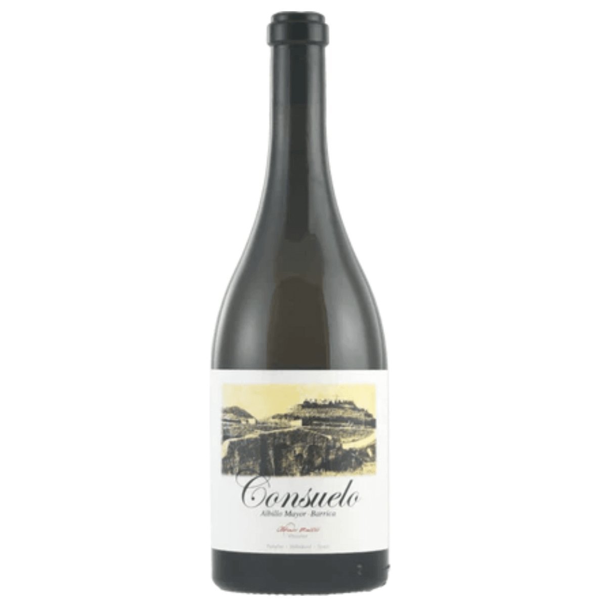 Alfredo Maestro Consuelo 2020 (6 Bottles) Ribera del Duero, Spain — Grenache from Ribera del Duero, Spain