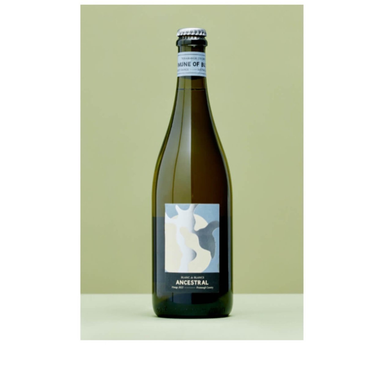 Commune of Buttons Blanc de Blancs Method Ancestral Sparkling 2022 (6 Bottles) Adelaide Hills — wine from Australia