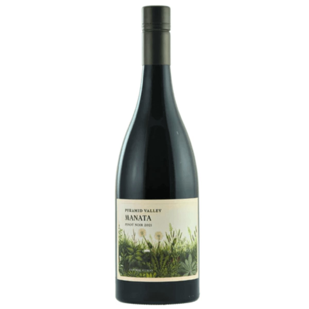 Pyramid Valley Central Otago Manata Pinot Noir 2021 (6 Bottles) New Zealand — wine from Australia