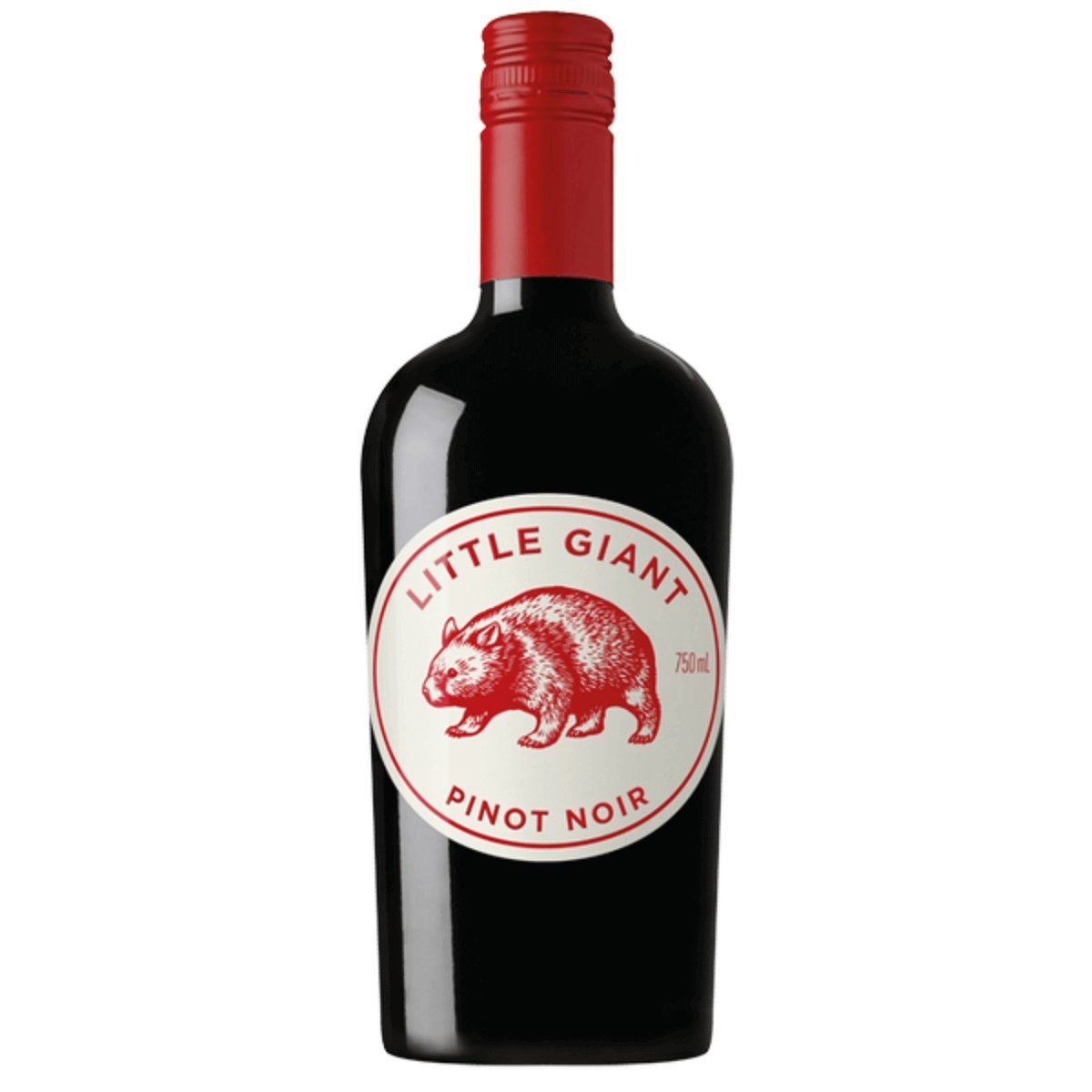 Little Giant Pinot Noir 2025 (12 Bottles) Adelaide Hills, SA — wine from Australia