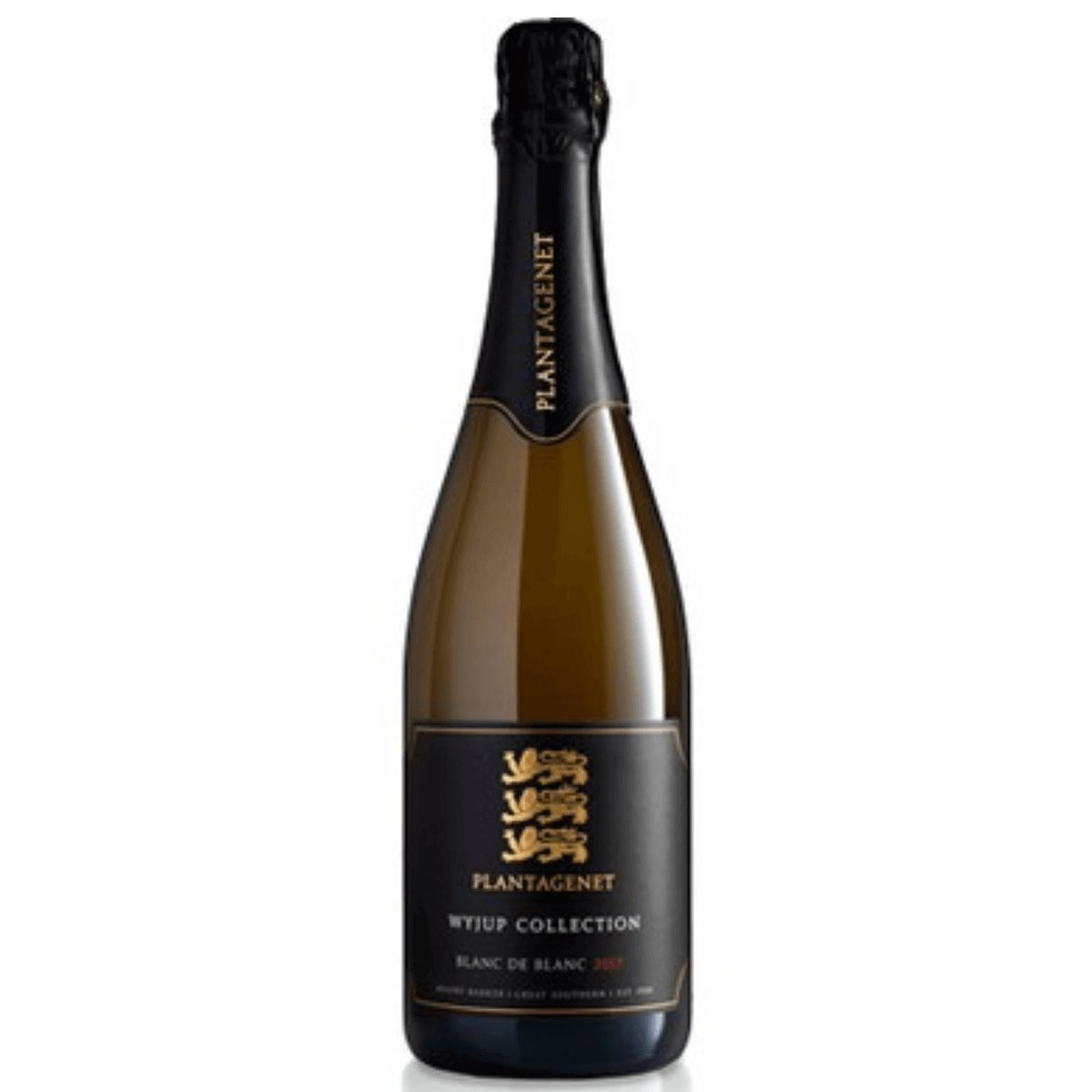 Plantagenet Wyjup Collection Blanc De Blancs 2021 (6 Bottles) Great Southern — wine from Australia