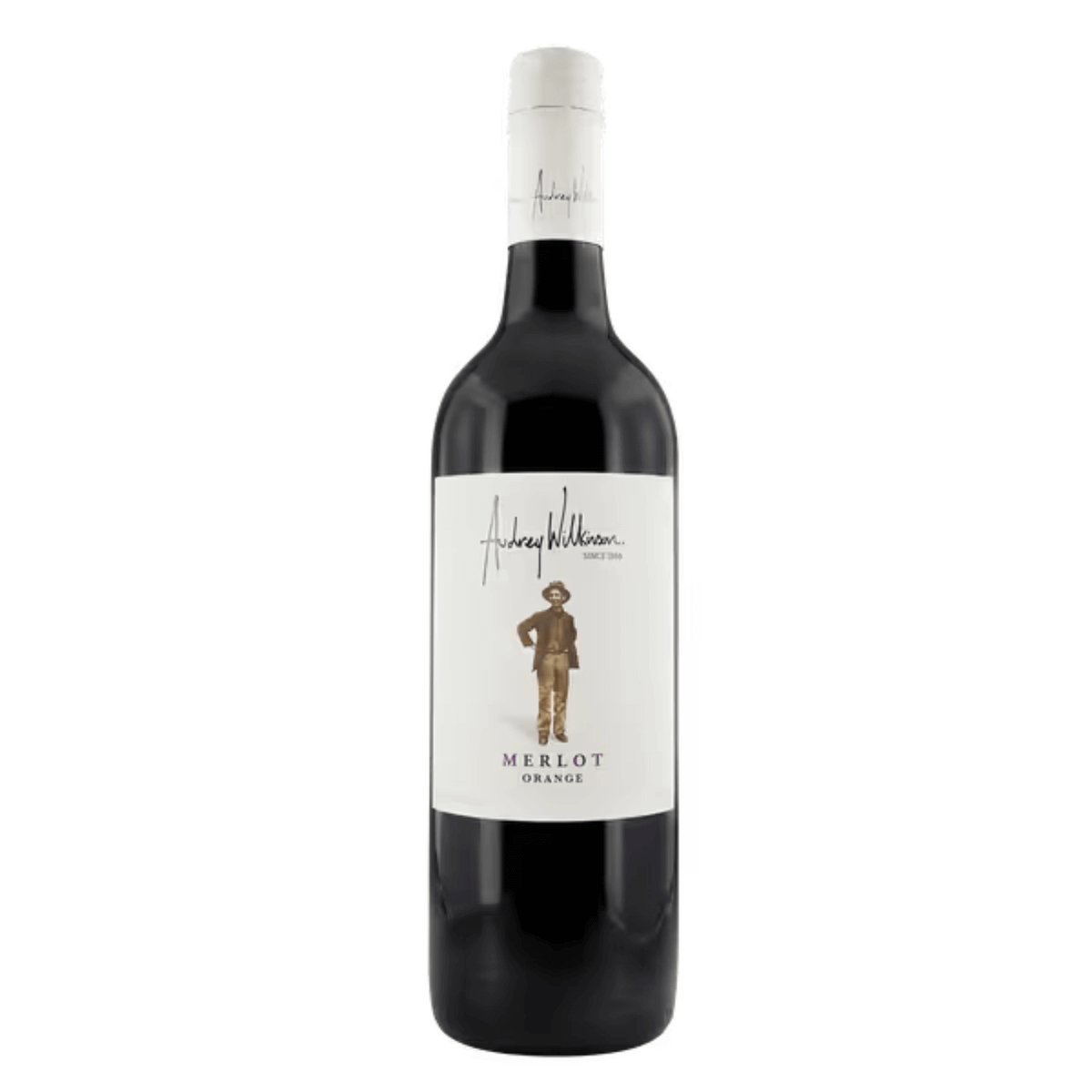 Audrey Wilkinson Merlot 2022 (6 Bottles) Hunter Valley, NSW — wine from Australia