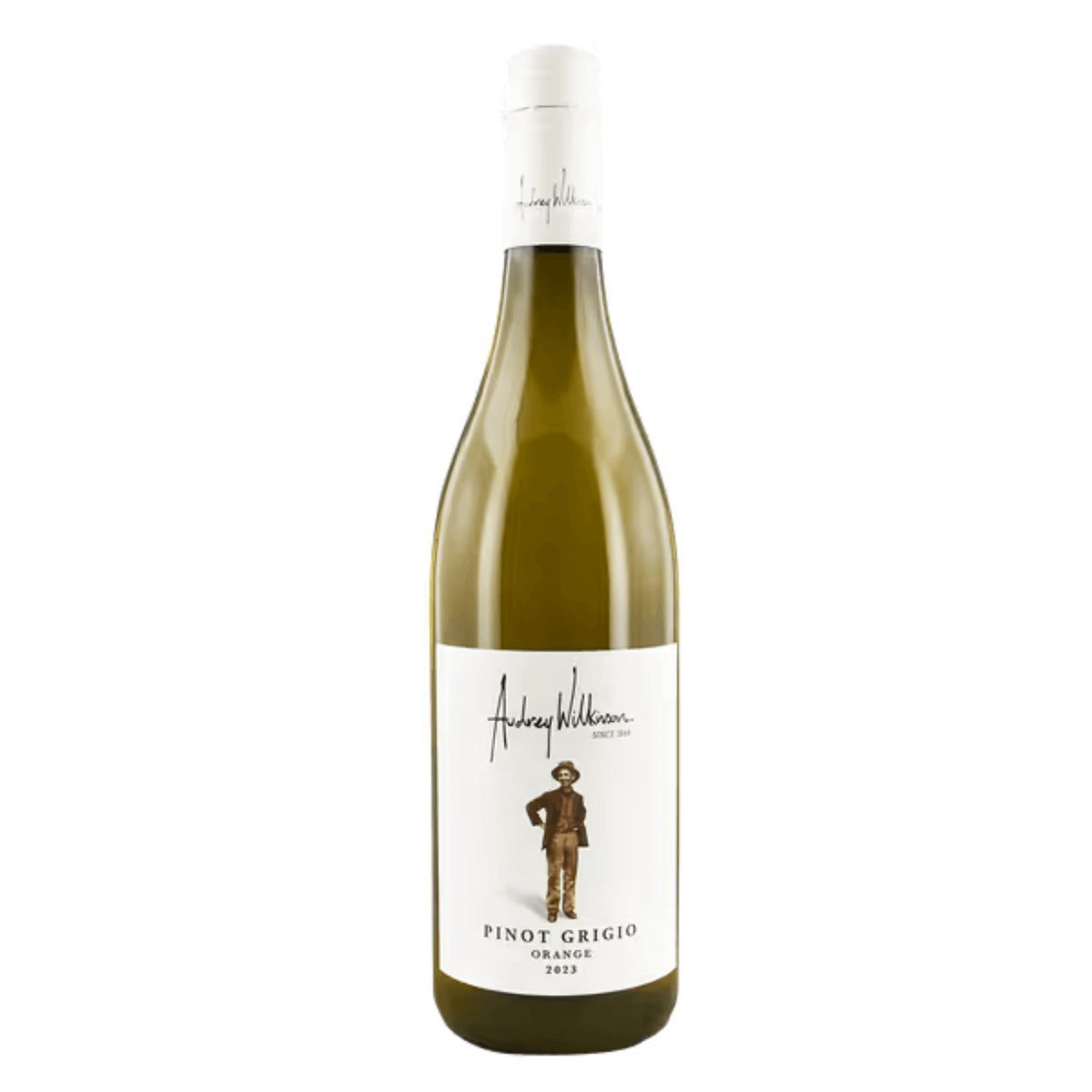 Audrey Wilkinson Pinot Grigio 2025 (6 Bottles) Hunter Valley, NSW — wine from Australia