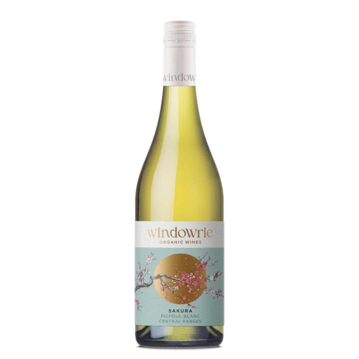 Windowrie Sakura Picpoul Blanc 2024 (6 Bottles) Canowindra, NSW — wine from Australia