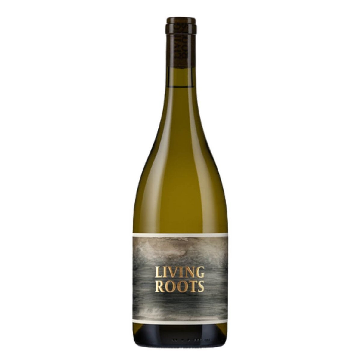 Living Roots Barbera 2021 (12 Bottles) Adelaide Hills, SA — wine from Australia