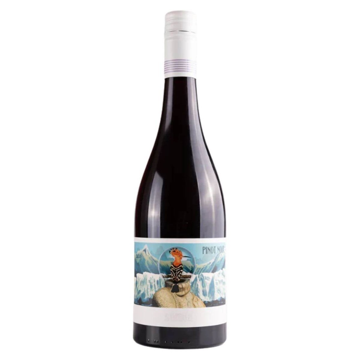 Somos Pinot Noir 2024 (12 Bottles) McLaren Vale, SA — wine from Australia