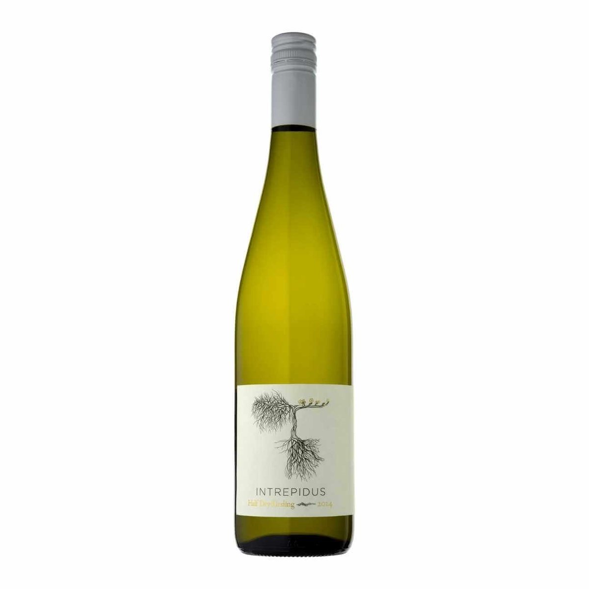 Intrepidus Half-Dry Riesling 2024 (12 Bottles) Hilltops, Canberra — wine from Australia