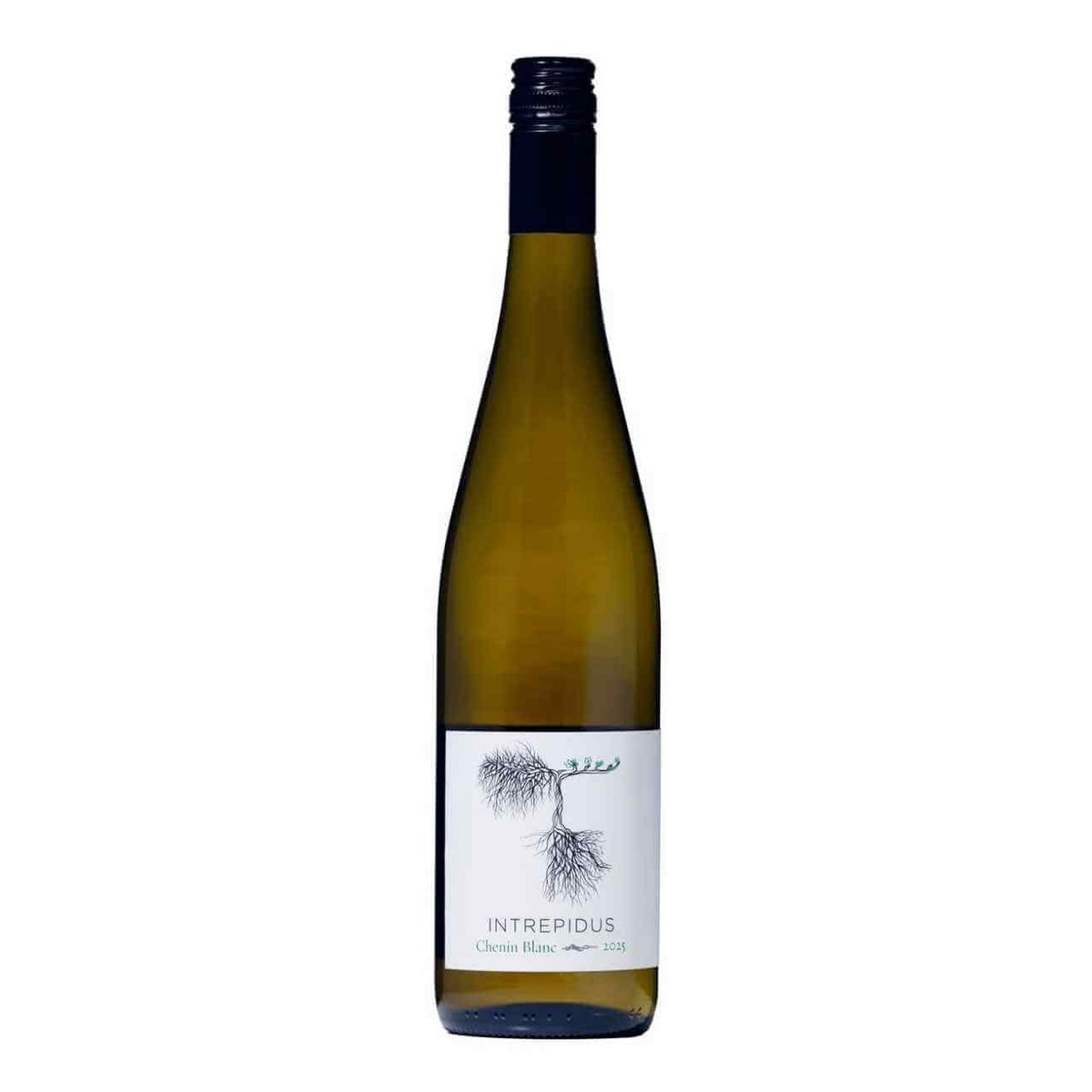 Intrepidus Chenin Blanc 2025 (12 Bottles) Gundagai, NSW — wine from Australia