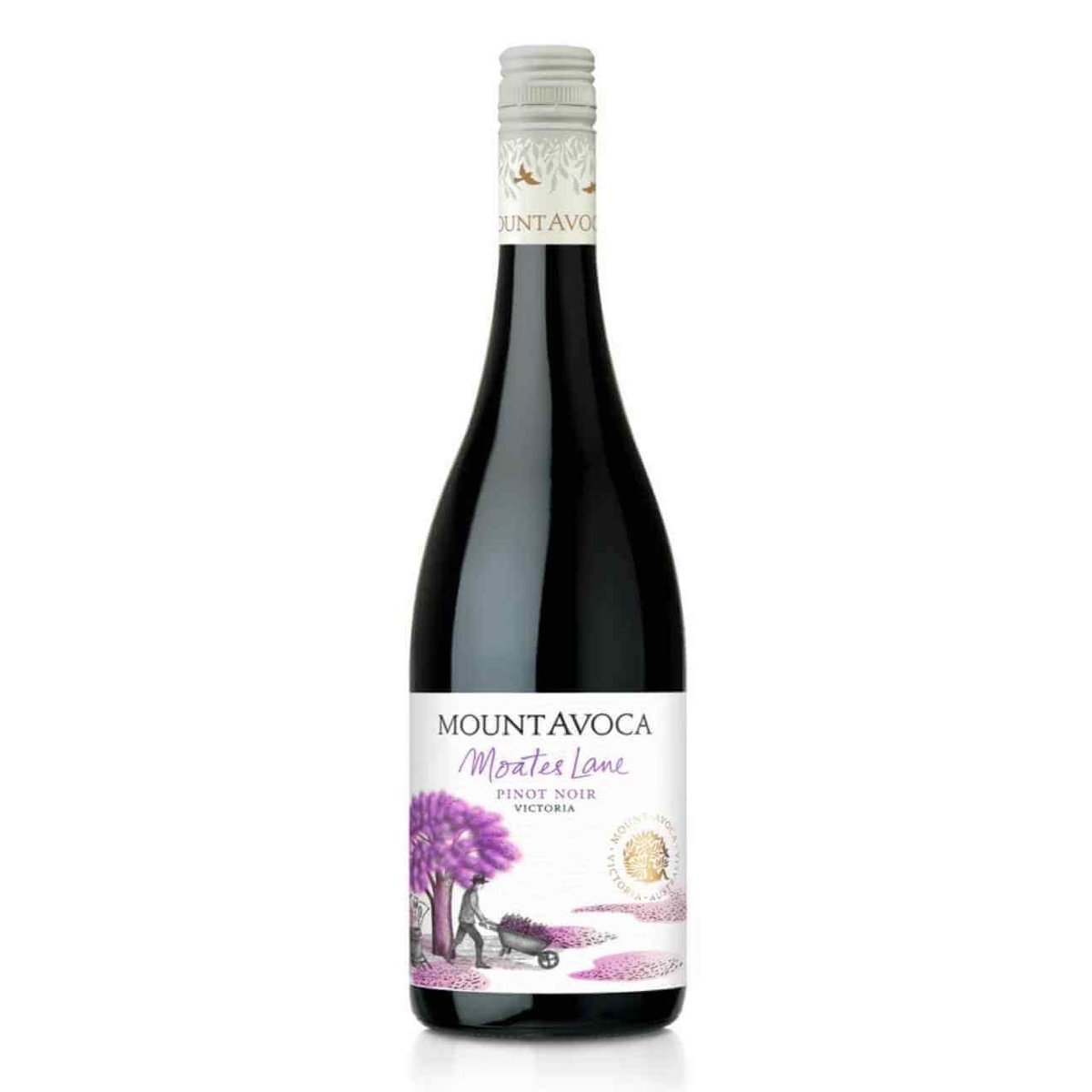 Mount Avoca Moates Lane Shiraz 2021 (6 Bottles) Pyrenees — wine from Australia