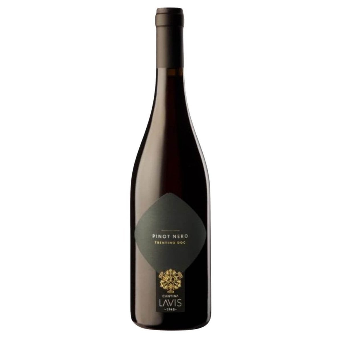 Cantina La Vis Pinot Nero 2023 (12 Bottles) Trentino, Italy — wine from Australia