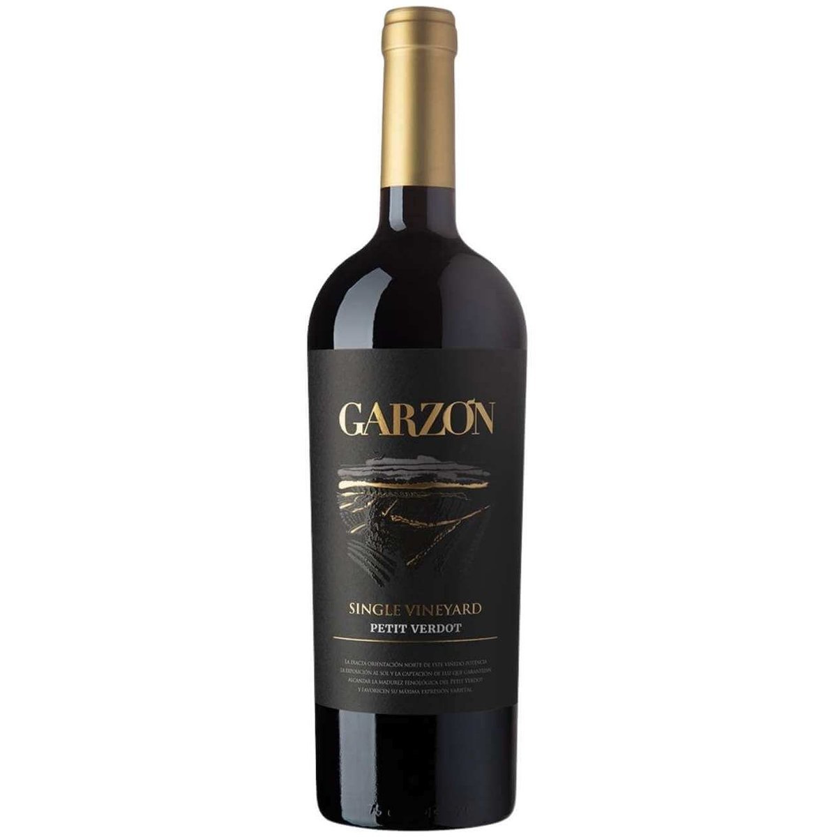 Bodega Garzon Single Vineyard Petit Verdot 2022 (6 Bottles) Maldonado, Uruguay — wine from Australia