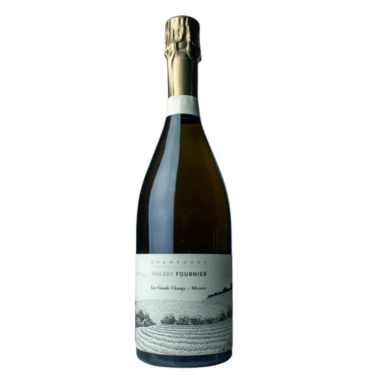 Thierry Fournier Leuvrigny Grand Champs 2020 (6 Bottles) Marne Valley's, France — wine from Australia