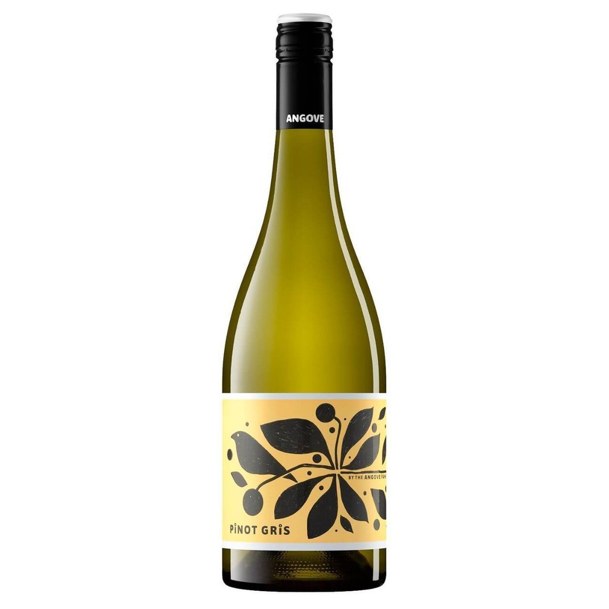 Angove Little Birdie Organic Pinot Gris 2025 (6 Bottles) Riverland, SA — wine from Australia