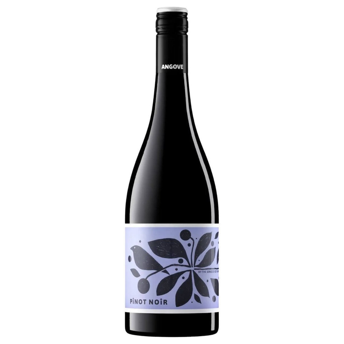 Angove Little Birdie Organic Pinot Noir 2025 (6 Bottles) Riverland, SA — wine from Australia