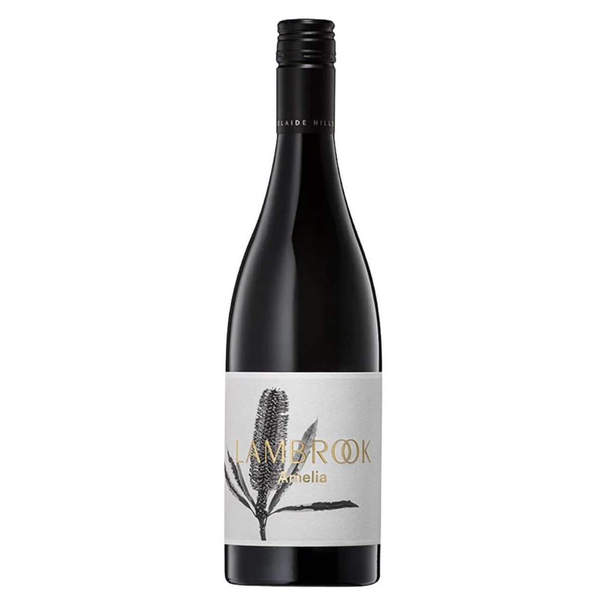 Lambrook Amelia Pinot Noir 2025 (6 Bottles) Adelaide Hills, SA — wine from Australia
