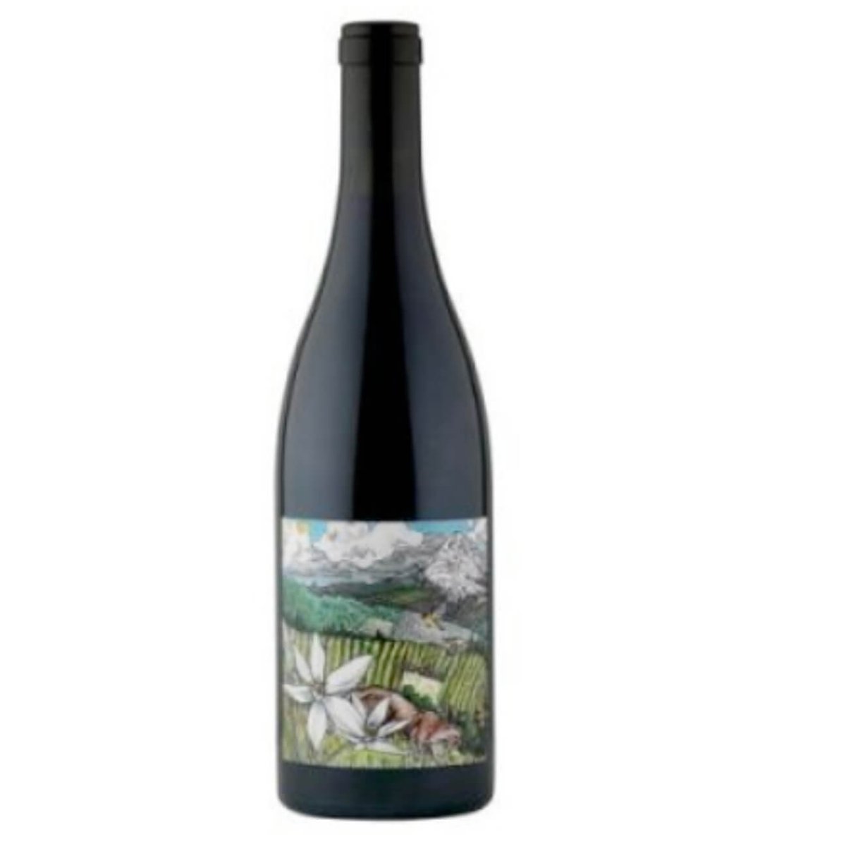 Kelley Fox Pinot Noir “Mirabai” 2021 (6 Bottles) Oregon USA — wine from Australia