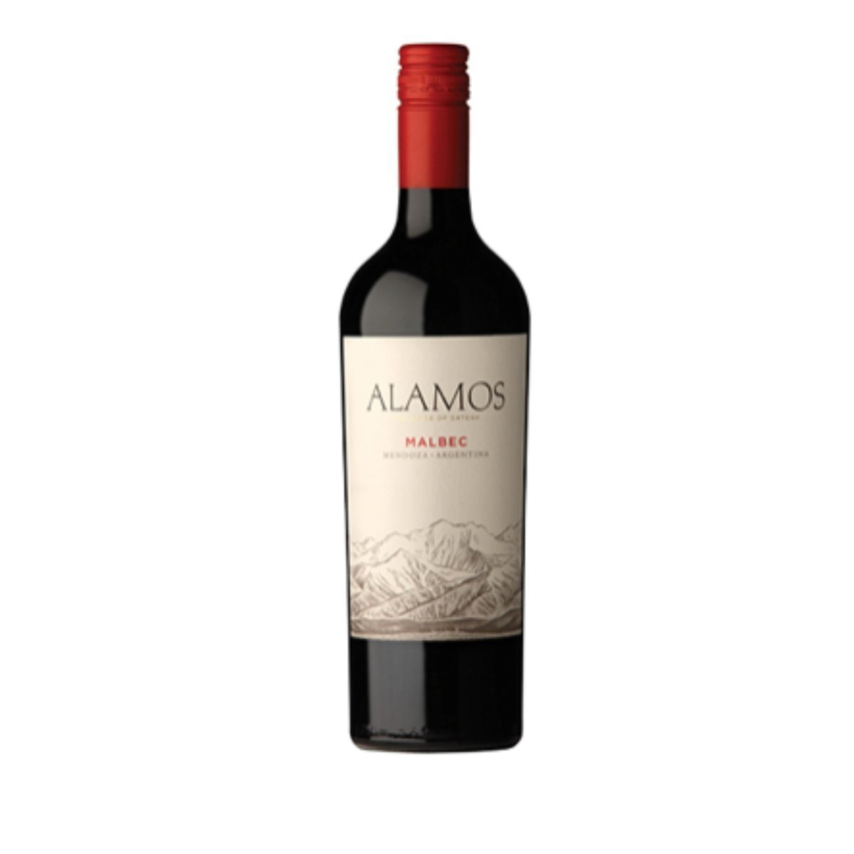 Alamos Malbec 2024 (6 Bottles) Mendoza, Argentina — Malbec from Mendoza, Argentina