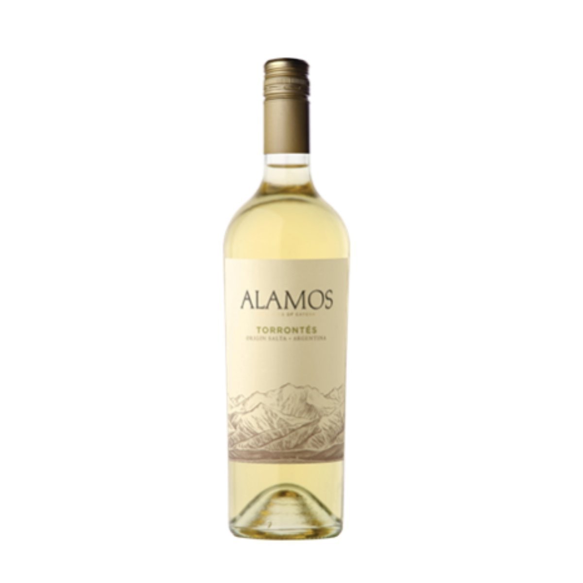 Alamos Torrontes 2024 (6 Bottles) Mendoza, Argentina — wine from Mendoza, Argentina