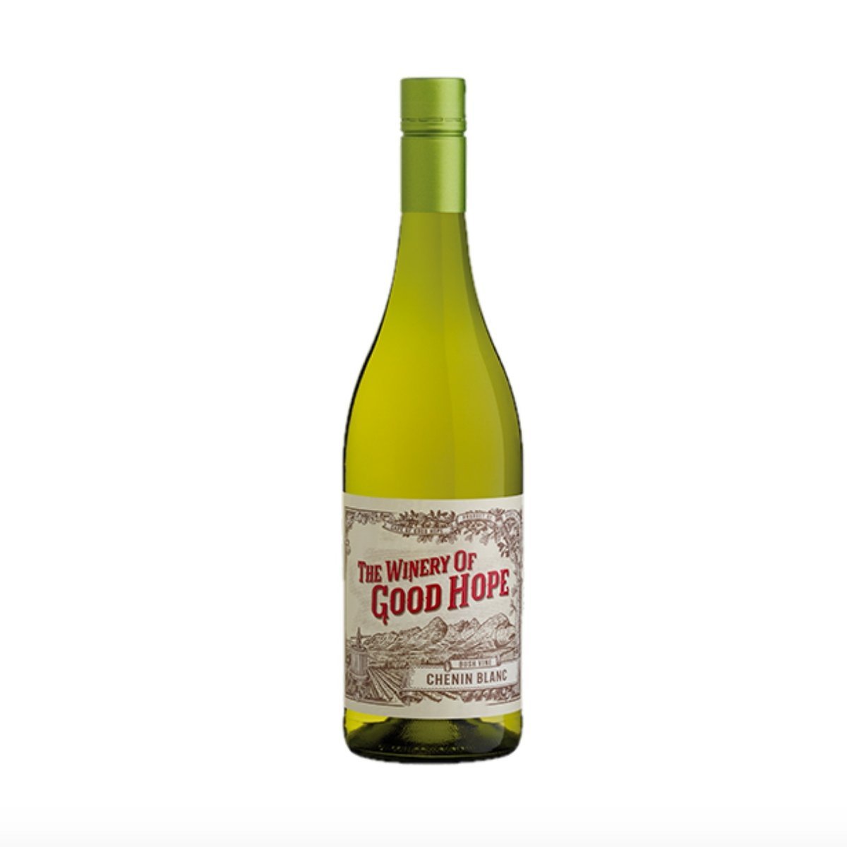 The Winery of Good Hope Bush Vine Chenin Blanc 2023/24 (12 Bottles) Stellenbosch, South Africa — Chenin Blanc from /24 (12 Bottles) Stellenbosch, South Africa