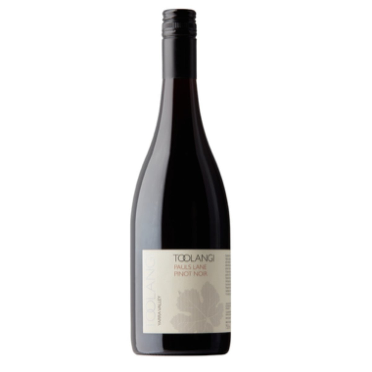 Toolangi Pauls Lane Pinot Noir 2024 (6 Bottles) Yarra Valley, VIC — wine from Yarra Valley