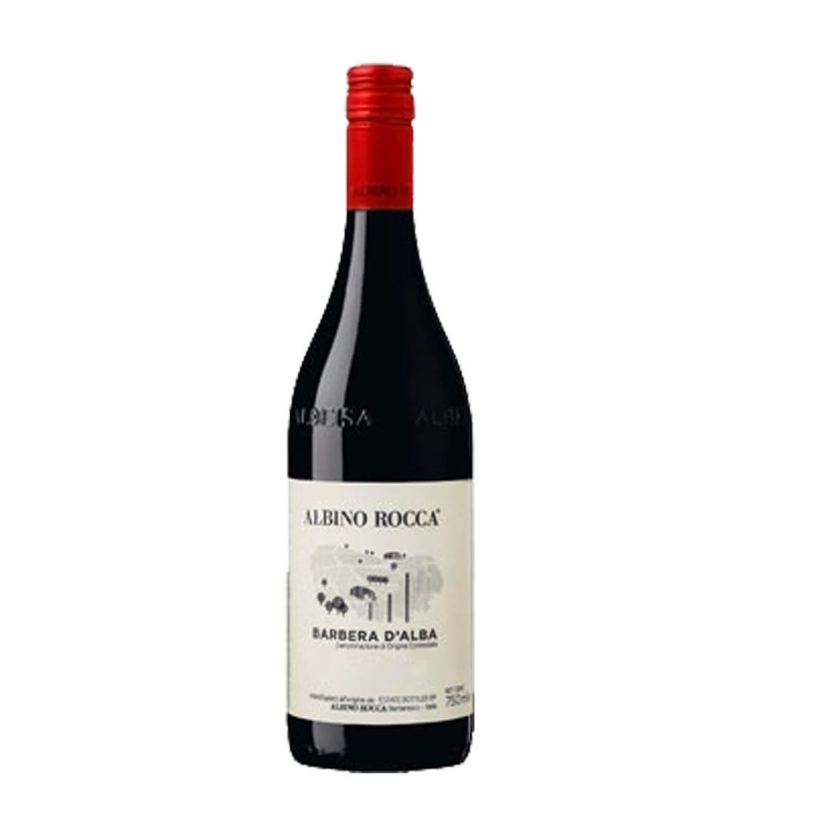 Albino Rocca Barbera D'Alba 2024 (6 Bottles) Barbaresco, Italy — Barbera from Barbaresco, Italy