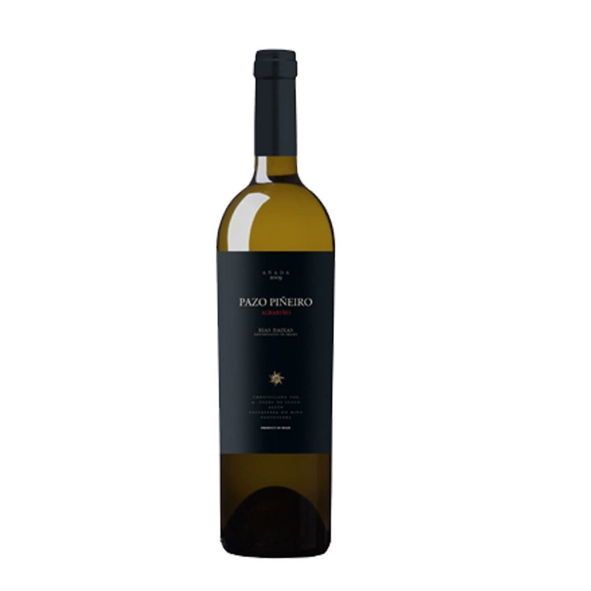Pazos de Lusco Pazo Pineiro 2005 (6 Bottles) Pazo Pineiro, Spain — wine from Pazo Pineiro, Spain