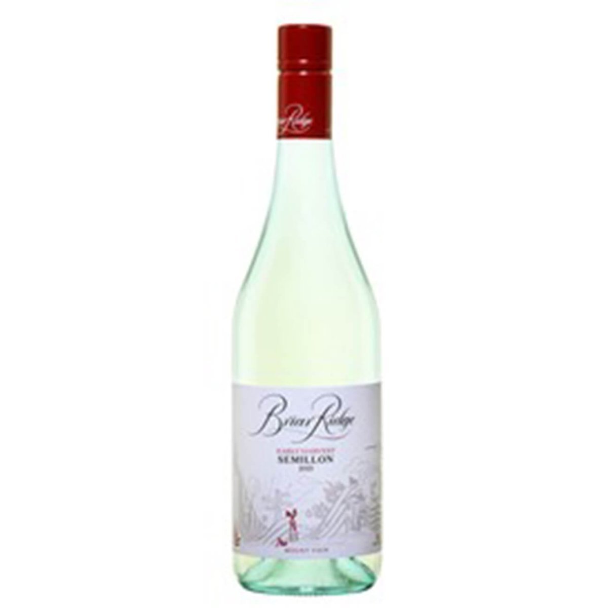 Briar Ridge Vineyards ‘Early Harvest’ Semillon 2023 (6 Bottles) Hunter Valley — wine from Australia