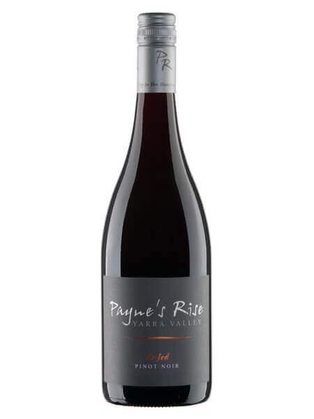 Payne's Rise Mr Jed Pinot Noir 2021 (12 Bottles) Upper Yarra, Victoria — wine from Australia