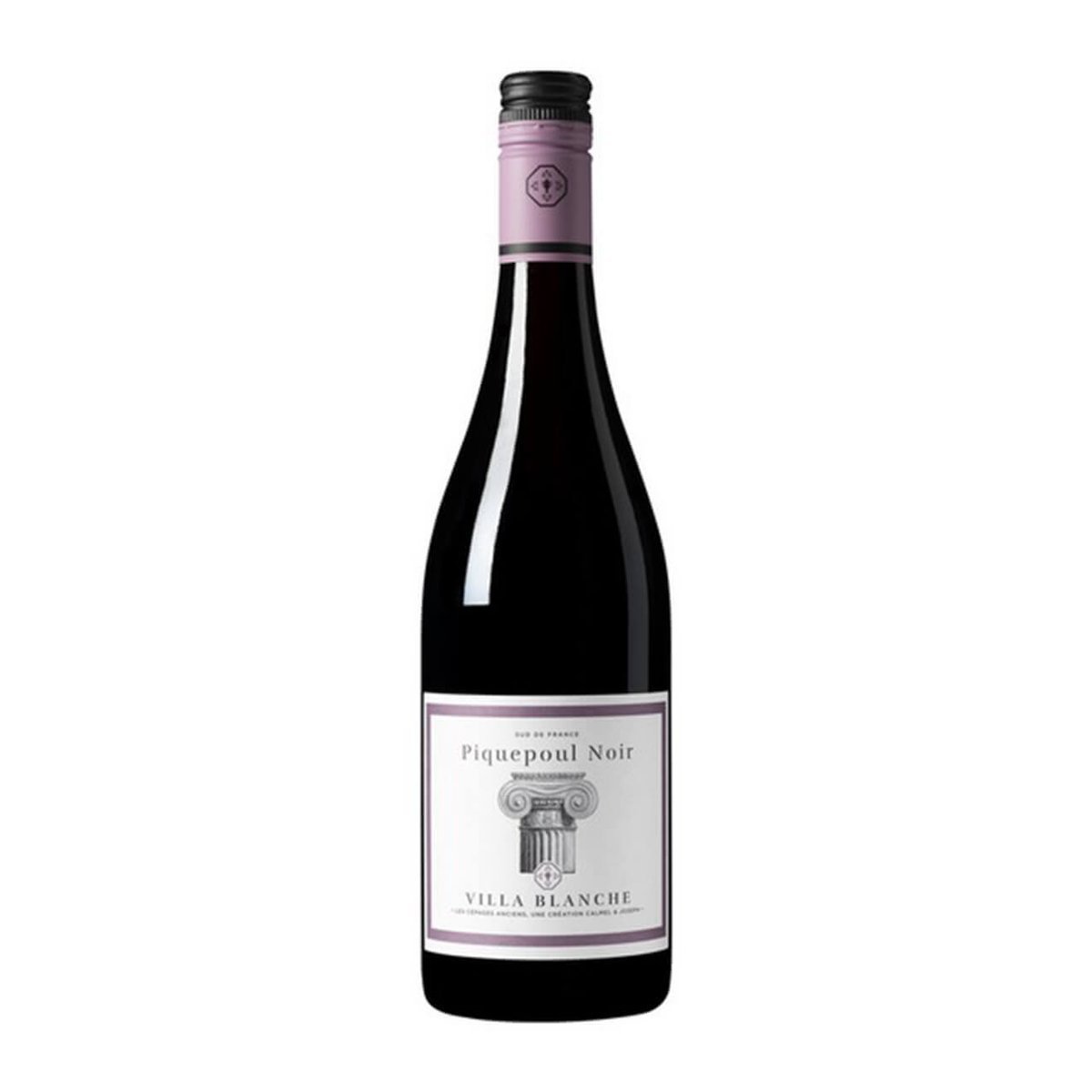 Calmel et Joseph Villa Blanche Cépages Anciens Pipuepoul Noir 2021 (12 Bottles) Languedoc-Roussillon, France — wine from Australia