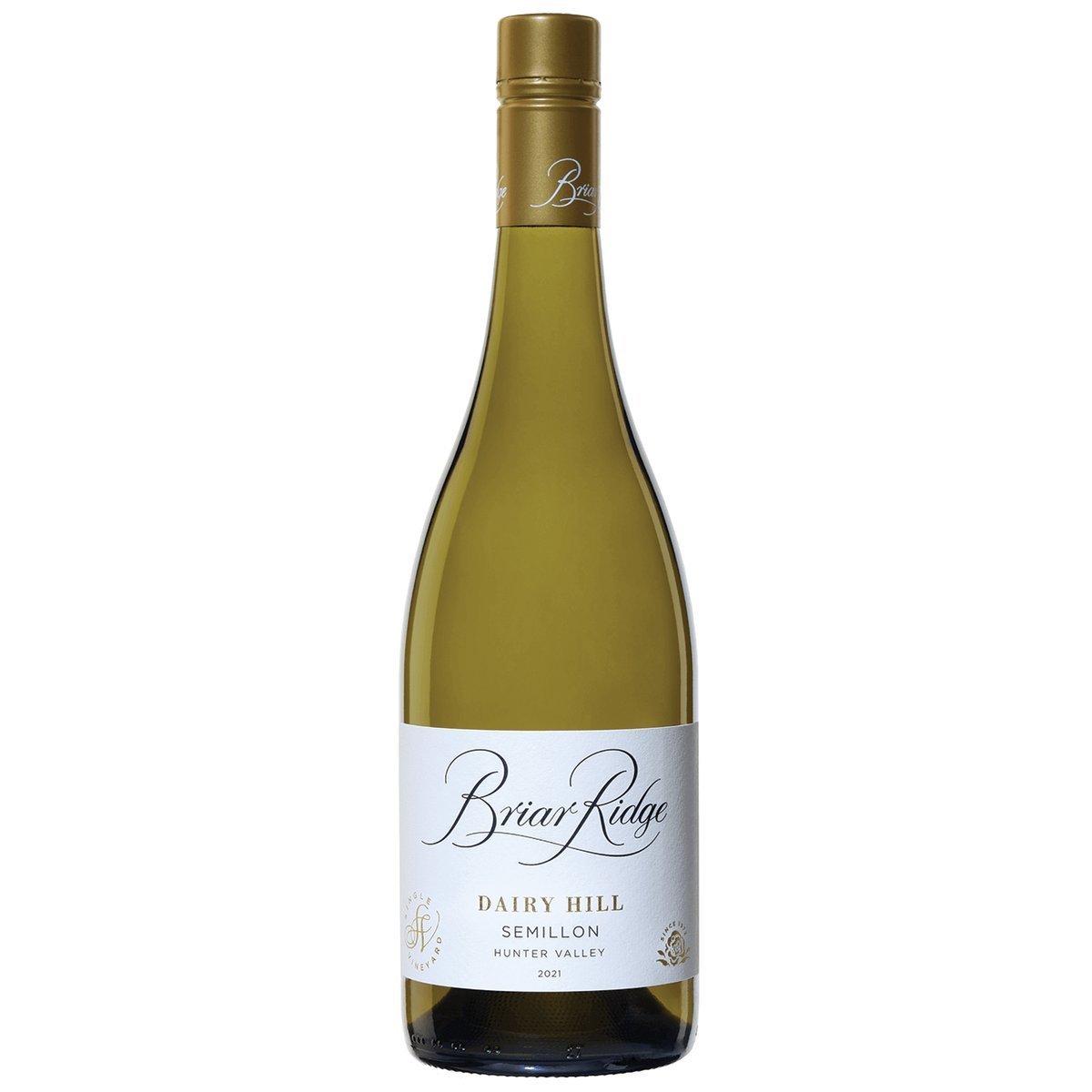 Briar Ridge Single Vineyard Dairy Hill Semillon 2025 (6 Bottles) Hunter Valley, NSW — wine from Australia