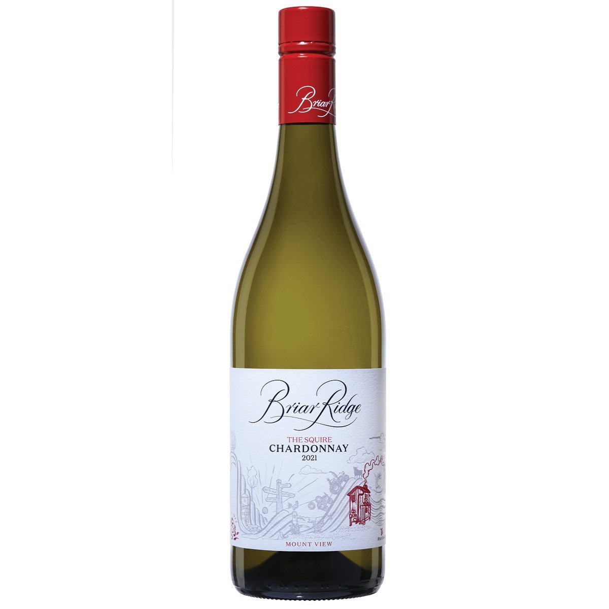 Briar Ridge The Squire Chardonnay 2024 (6 Bottles) Hunter Valley — wine from Australia