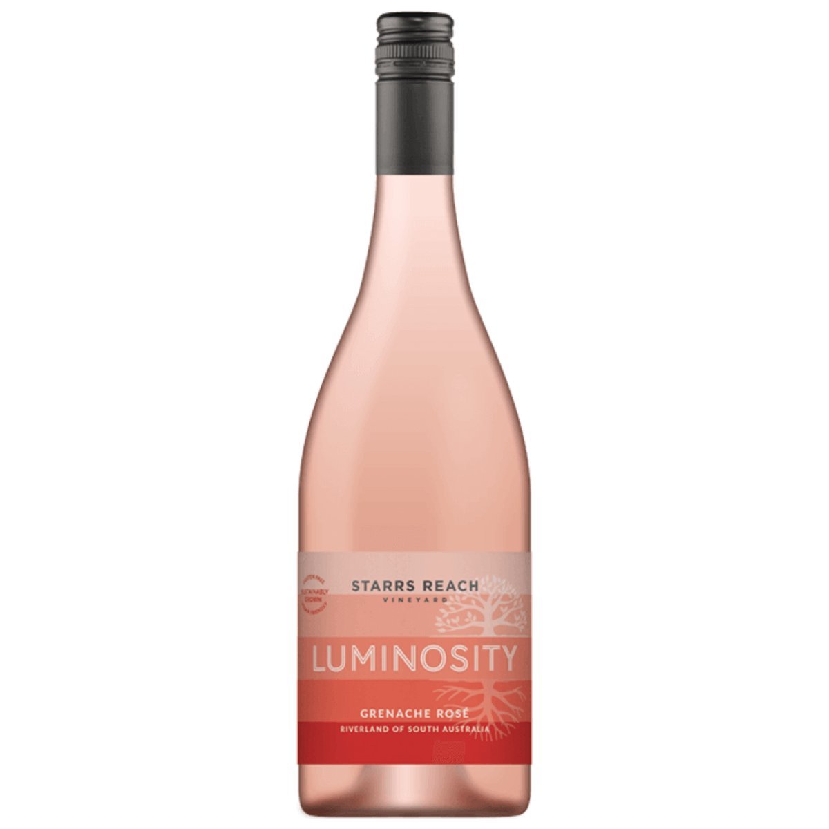 Starrs Reach LUMINOSITY Grenache Rosé 2023 (12 bottles) Riverland, SA — wine from Australia