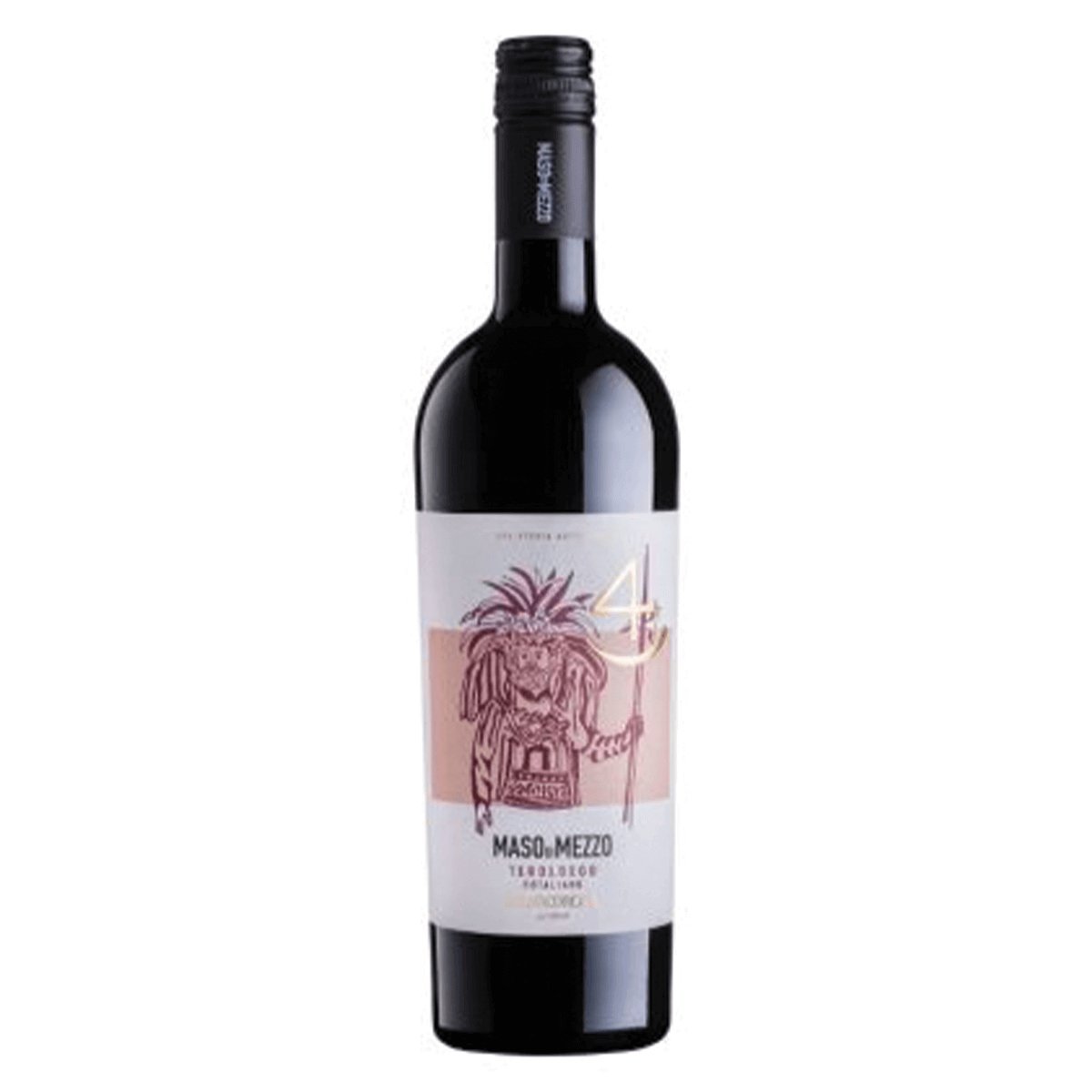Maso di Mezzo Teroldego Rotaliano 2019 (6 Bottles) Dolomites, Italy — wine from Australia