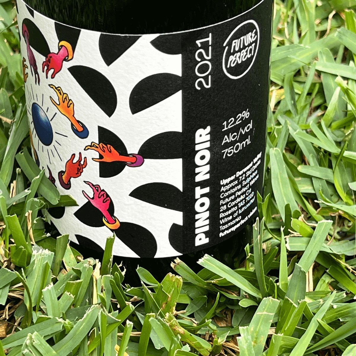 Future Perfect Wines Pinot Noir 2023 (6 Bottles) Upper Derwent Valley, Australia — wine from Upper Derwent Valley, Australia
