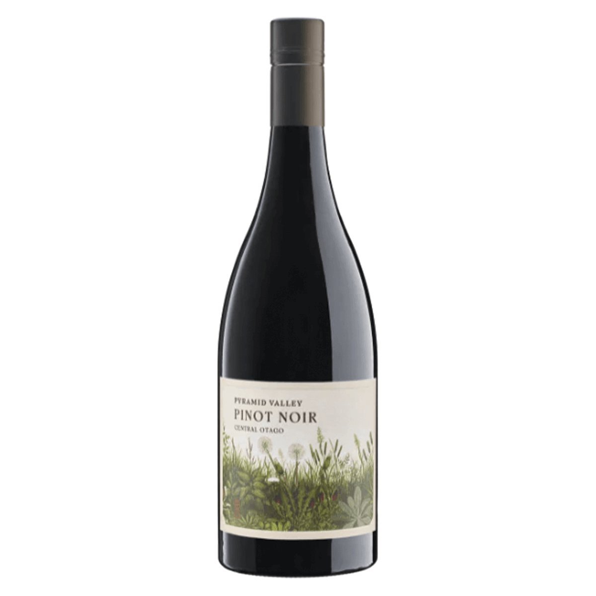 Pyramid Valley Central Otago Pinot Noir 2021 (6 Bottles) New Zealand — wine from New Zealand