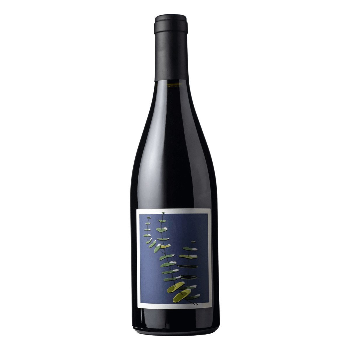 Basket Range Estate Pinot Noir 2023 (6 Bottles) Adelaide Hills — wine from Australia