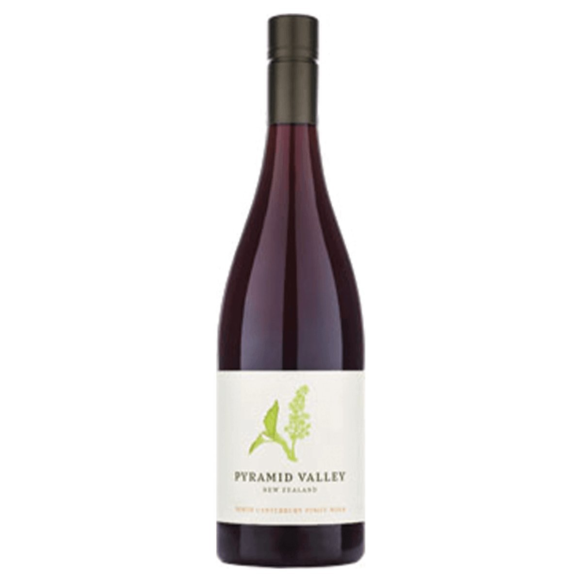 Pyramid Valley North Canterbury Pinot Noir 2022 (6 Bottles) New Zealand — wine from Australia