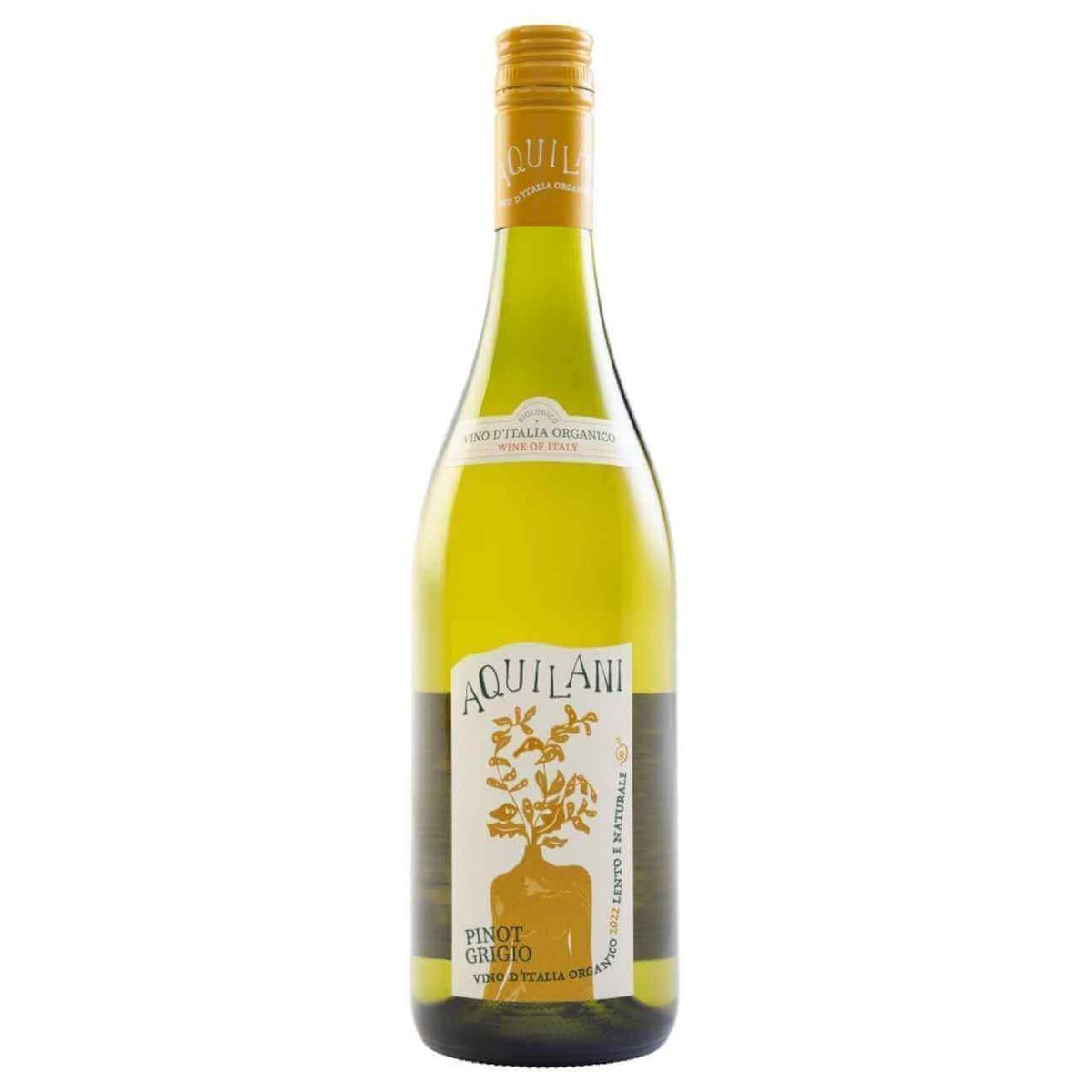 Aquilani Pinot Grigio 2024 (12 Bottles) Tuscany, Italy — Pinot Grigio from Tuscany, Italy