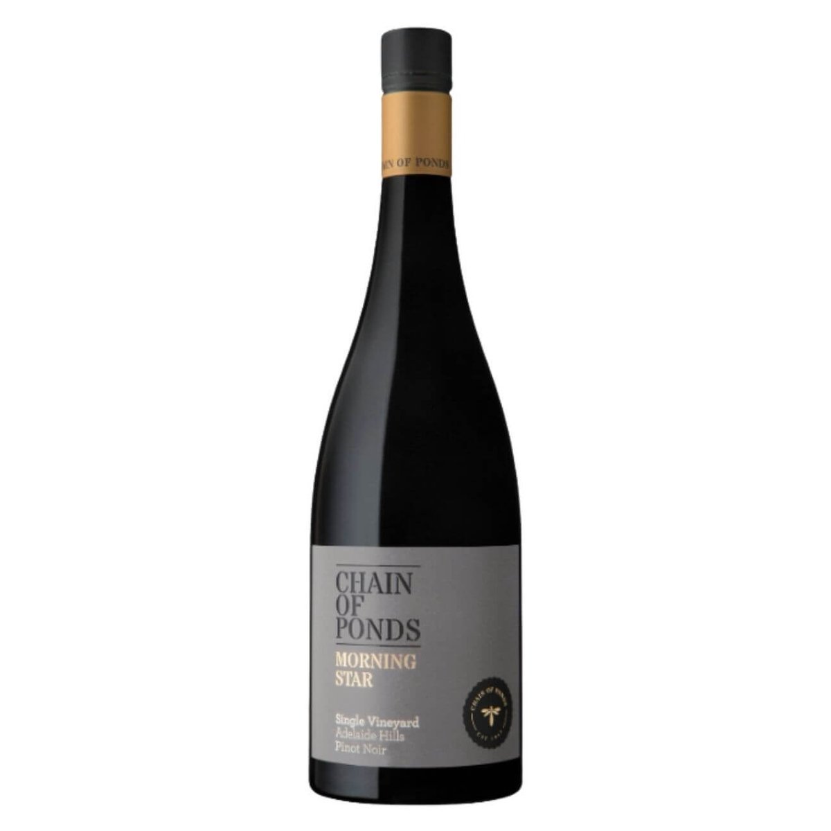 Chain Of Ponds Morning Star Pinot Noir 2022 (6 Bottles) Adelaide Hills — wine from Australia