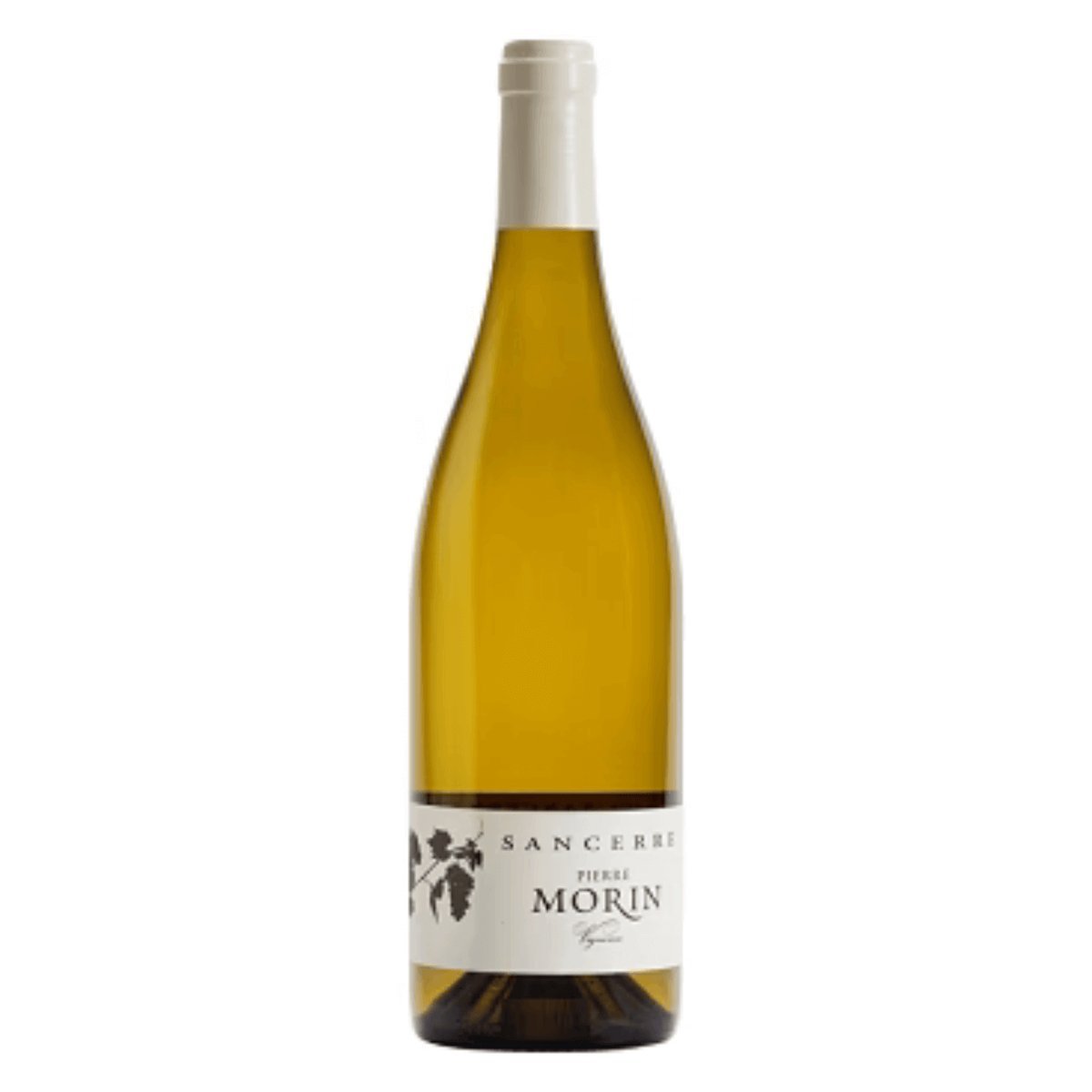 Pierre Morin Sancerre Vieilles Vignes 2023 (6 Bottles) Loire Valley, France — Sancerre from Loire Valley, France