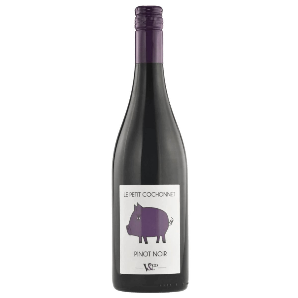 Le Petit Cochonnet Pinot Noir 2022 (6 Bottles) Languedoc, France — wine from Languedoc, France