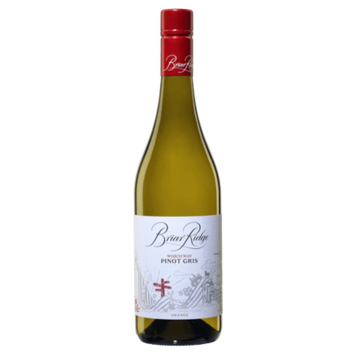 Briar Ridge Which Way Pinot Gris 2025 (6 Bottles) Orange, NSW — wine from Australia