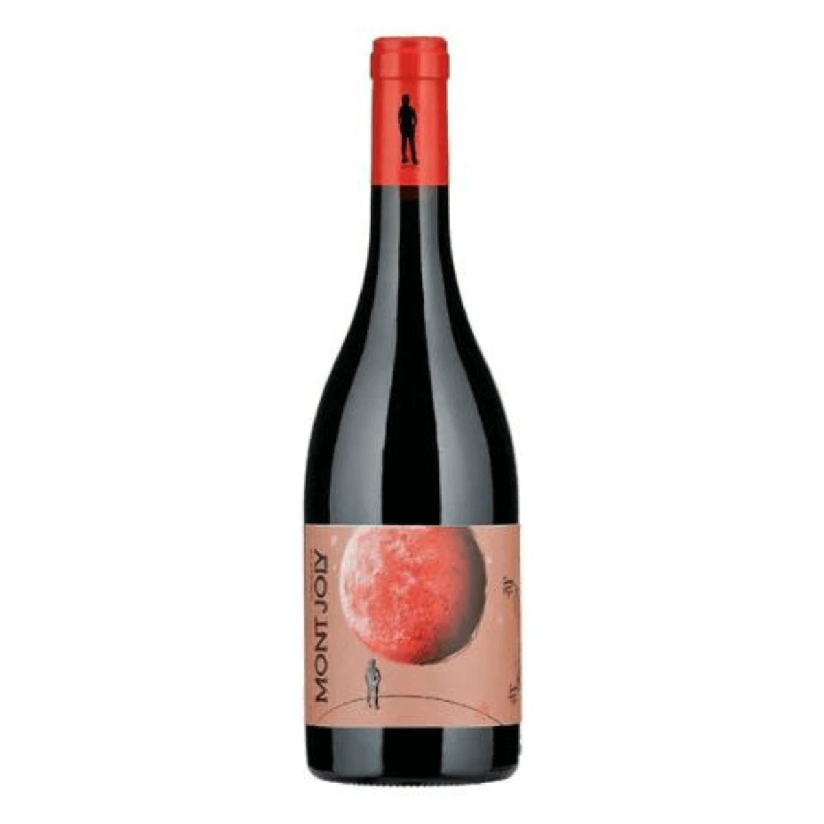 Domaine de Mont Joly La Pointe 2019 (6 Bottles) Beaujolais, France — Beaujolais from Beaujolais, France
