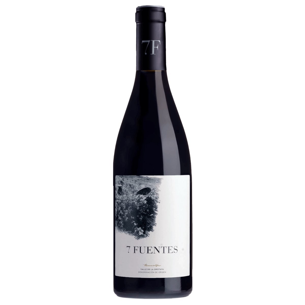 Suertes del Marqués Tenerife Valle de la Orotava 7 Fuentes 2021 (6 Bottles) Spain — wine from Spain